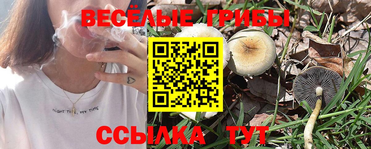 Галлюциногенные грибы ЛСД  Вход с VPN  Кинель 
