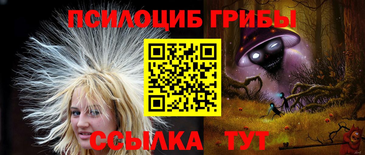 Псилоцибиновые грибы Psilocybe Кинель